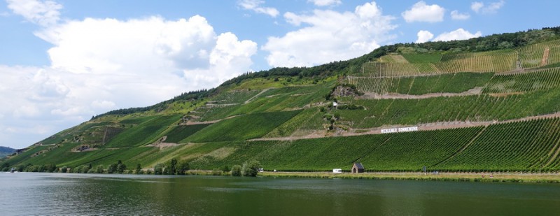 Mosel-Saar-Ruwer