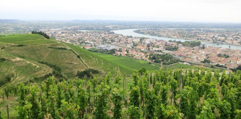 Nördliche Rhône