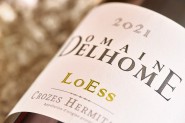 Loess Crozes-Hermitage Blanc 2021 